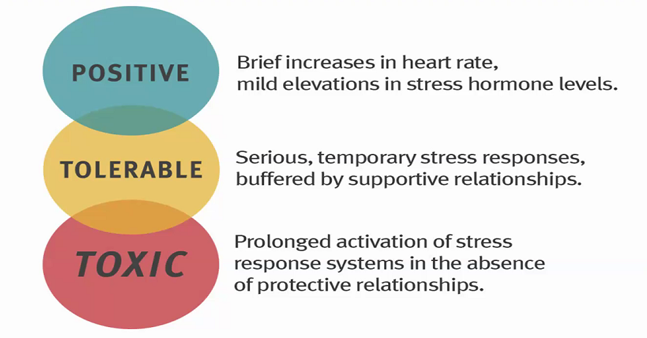Screen shot from Megha Gore’s session “Navigating the Pandemic as a Family”