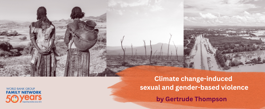 Climate change-induced sexual and gender-based violence